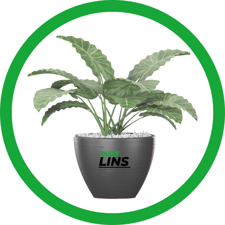 Casa, Cozinha e Jardim